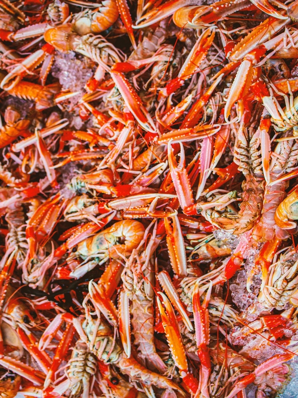 LANGOUSTINES