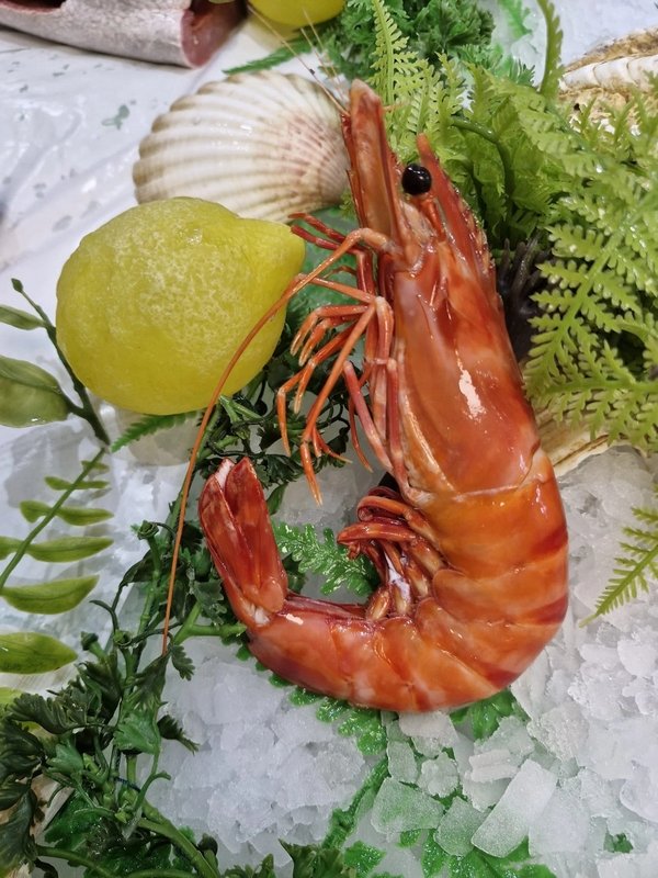GROSSES CREVETTES