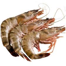 GROSSES CREVETTES