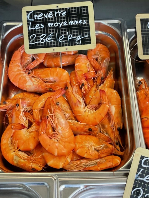 MOYENNES CREVETTES
