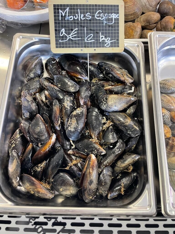 MOULES D’ESPAGNE