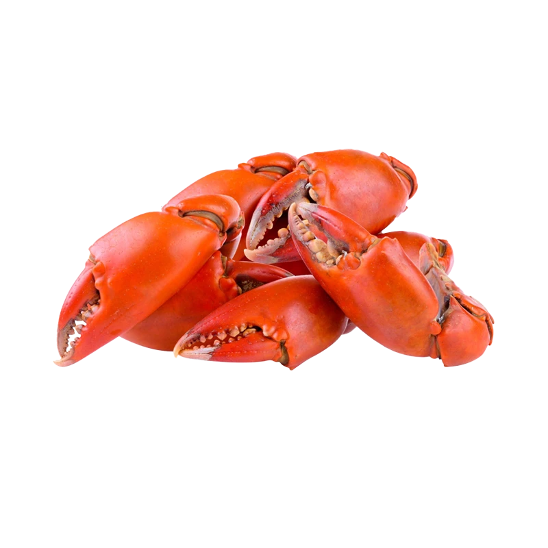 PINCES DE CRABES